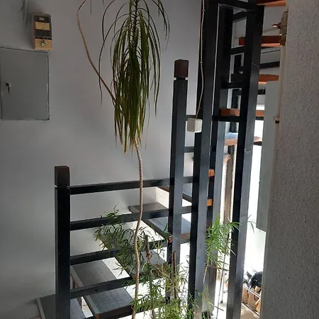 Arca Apartment *